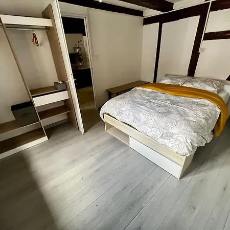 De Charme Alsacien, Centre Historique 아파트