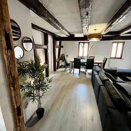 De Charme Alsacien, Centre Historique Apartmán