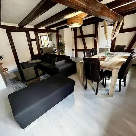 아파트 De Charme Alsacien, Centre Historique *