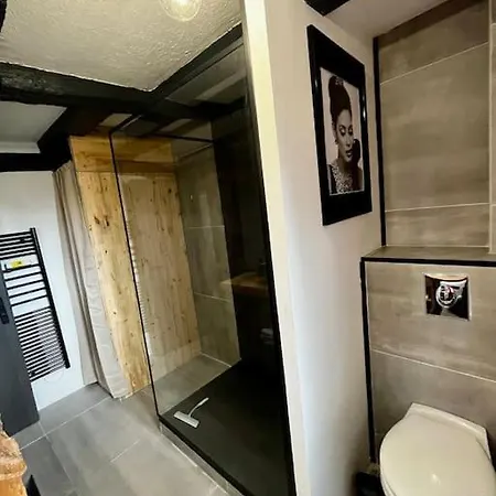 De Charme Alsacien, Centre Historique *