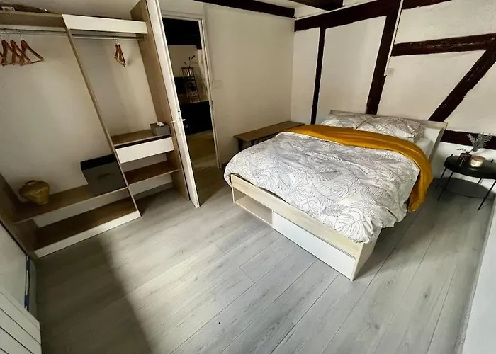 De Charme Alsacien, Centre Historique Apartment